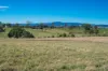 614 Peabody Road, Molong, NSW 2866