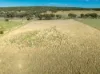 614 Peabody Road, Molong, NSW 2866-Image