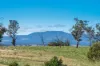 614 Peabody Road, Molong, NSW 2866-Image