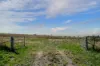 614 Peabody Road, Molong, NSW 2866-Image