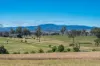 614 Peabody Road, Molong, NSW 2866-Image