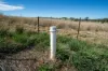 614 Peabody Road, Molong, NSW 2866-Image