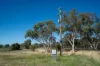 614 Peabody Road, Molong, NSW 2866-Image