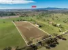 614 Peabody Road, Molong, NSW 2866-Image