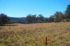 618 Coopers Road, Red Range, NSW 2370-Image