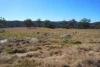 618 Coopers Road, Red Range, NSW 2370-Image