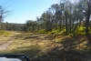 618 Coopers Road, Red Range, NSW 2370-Image