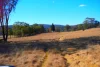 618 Coopers Road, Red Range, NSW 2370-Image