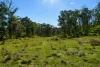 618 Coopers Road, Red Range, NSW 2370-Image