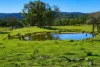 618 Coopers Road, Red Range, NSW 2370-Image