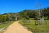 618 Coopers Road, Red Range, NSW 2370-Image