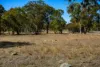 62 Cemetary Road, Torrington, NSW 2371