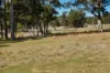 62 Cemetary Road, Torrington, NSW 2371-Image