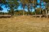 62 Cemetary Road, Torrington, NSW 2371-Image