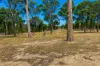 62 Cemetary Road, Torrington, NSW 2371-Image