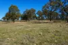 62 Cemetary Road, Torrington, NSW 2371-Image