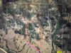 62 Karalee Row, Murrurundi NSW 2338-Image
