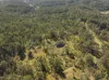 621 Babyl Creek Road, Kyogle, NSW 2474