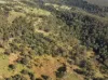 621 Babyl Creek Road, Kyogle, NSW 2474-Image