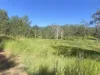 621 Babyl Creek Road, Kyogle, NSW 2474-Image