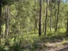 621 Babyl Creek Road, Kyogle, NSW 2474-Image