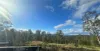 621 Babyl Creek Road, Kyogle, NSW 2474-Image