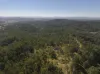 621 Babyl Creek Road, Kyogle, NSW 2474-Image