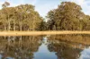 627 Standen Drive, Lower Belford, NSW 2335-Image