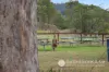 629 Burnett Creek Road, Maroon, Qld 4310-Image