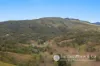 629 Burnett Creek Road, Maroon, Qld 4310-Image