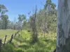 629 Clearfield Road, Clearfield, NSW 2469-Image