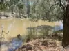 629 Clearfield Road, Clearfield, NSW 2469-Image