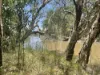629 Clearfield Road, Clearfield, NSW 2469-Image