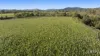63 Allyn River Road, East Gresford, NSW 2311-Image