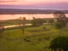 63 Carrs Island Road, Carrs Island, NSW 2460-Image