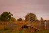 63 Carrs Island Road, Carrs Island, NSW 2460-Image