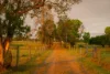 63 Carrs Island Road, Carrs Island, NSW 2460-Image