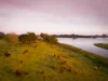 63 Carrs Island Road, Carrs Island, NSW 2460-Image