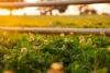 63 Carrs Island Road, Carrs Island, NSW 2460-Image