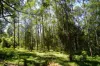 63 Doon Doon Road, Kunghur, NSW 2484-Image