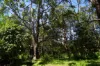 63 Doon Doon Road, Kunghur, NSW 2484-Image