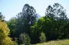 63 Doon Doon Road, Kunghur, NSW 2484-Image