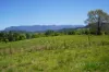 63 Doon Doon Road, Kunghur, NSW 2484-Image