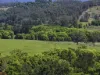 63 Doon Doon Road, Kunghur, NSW 2484-Image