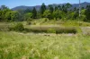 63 Doon Doon Road, Kunghur, NSW 2484-Image