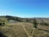 63 Dunn Road, Allandale, Qld 4310-Image