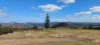 63 Dunn Road, Allandale, Qld 4310-Image