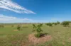 63 Gunning Ridge Road, Forbes NSW 2871-Image