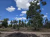 633B Bosnjaks Road, Glenarbon, Qld 4385-Image
