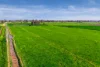 636 Graham Road, Kyabram, Vic 3620-Image